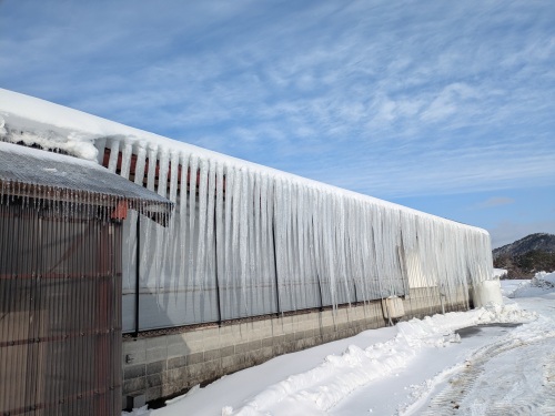 冬本番 | 奈義町　神野さん