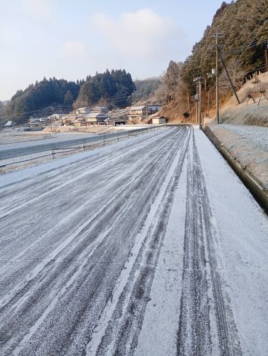 散歩も怖い | 高梁市　常松さん