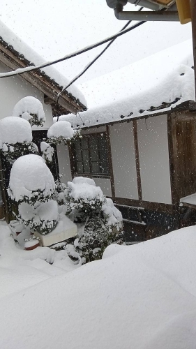 たんまりこんもり