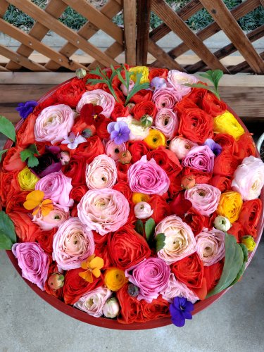 壁掛けにして飾りたい | 坂出市　和田さん