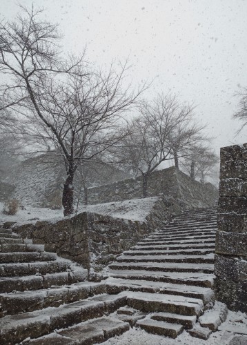 雪降る鶴山公園 | 津山市　寺坂さん