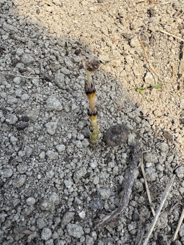 春はすぐそこに来た | 赤磐市　えりねぇさん