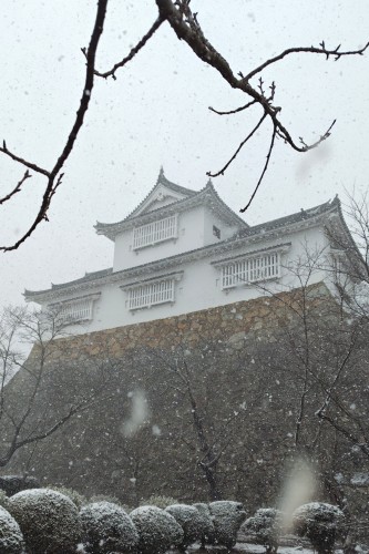 雪降る鶴山公園 | 津山市　寺坂さん