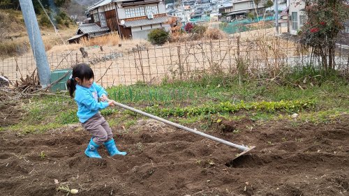 バァバを手伝う | 備前市　きよみバァバさん