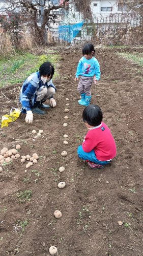 バァバを手伝う | 備前市　きよみバァバさん