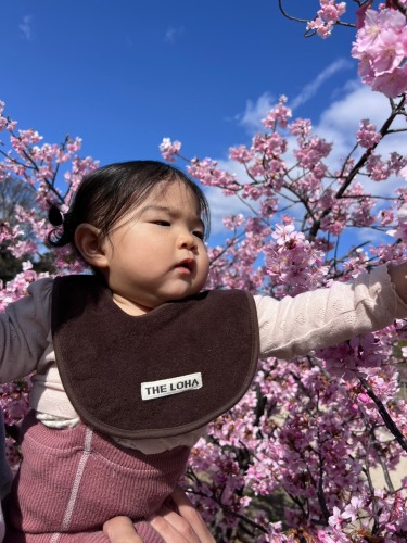 初めての河津桜 | 久米南町　チカZ(ジ～)さん
