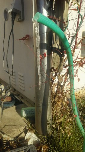 こりごーり | 岡山市　安藤さん