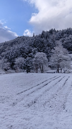 冬に逆戻り | 新庄村　オバQゼブラさん