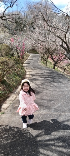 春がきた | 津山市　山家さん