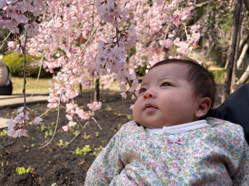 うっとり～ | 岡山市　ひよりちゃんさん