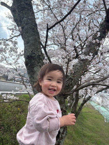 春がきたぁ！ | 美作市　田畑さん