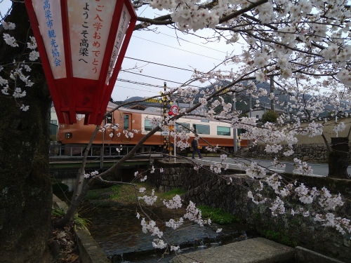 桜とやくも | 高梁市　ゆうじさん
