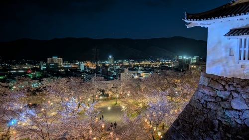 夜桜満開！鶴山公園 | 岡山市　赤坂さん