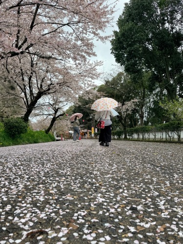 集まれば気分は20代