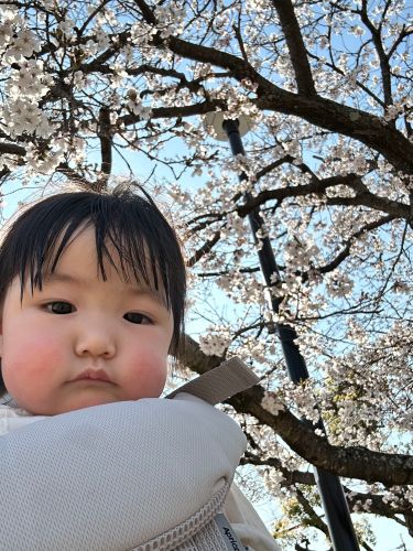 初めてのお花見