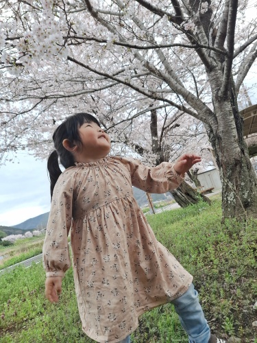 桜で笑顔に | 美咲町　あかりちゃんのママさん