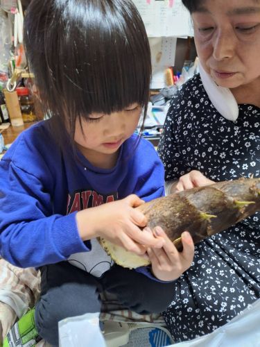 タケノコ剥きに挑戦