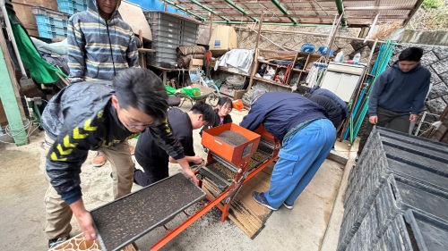 孫とモミまき | 高梁市　うーじーさん