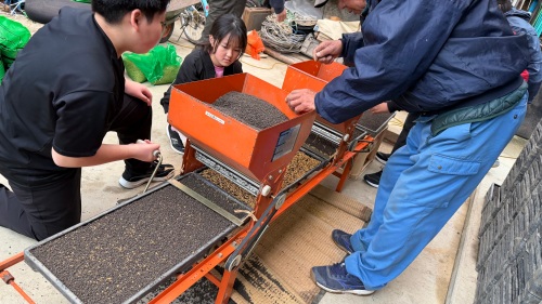 孫とモミまき | 高梁市　うーじーさん