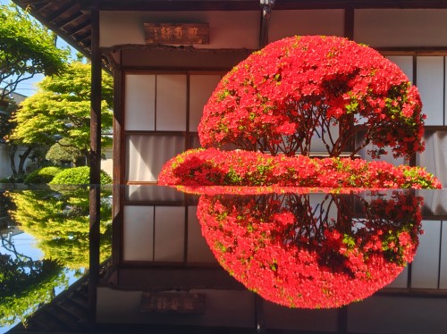 リフレクション | 津山市　寺坂さん