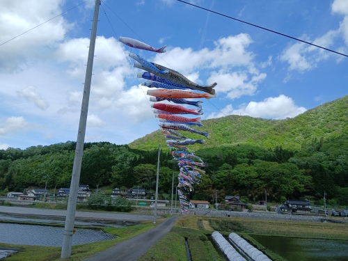 空を舞う鯉のぼり | 新見市　宮本さん