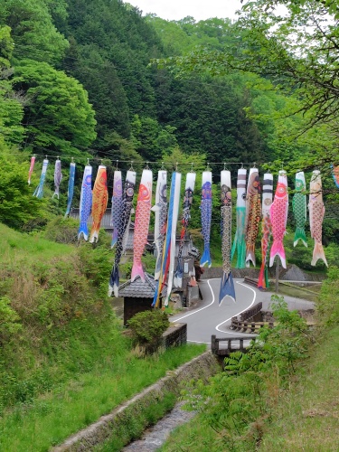 お客様を迎える鯉流し | 総社市　長谷川さん