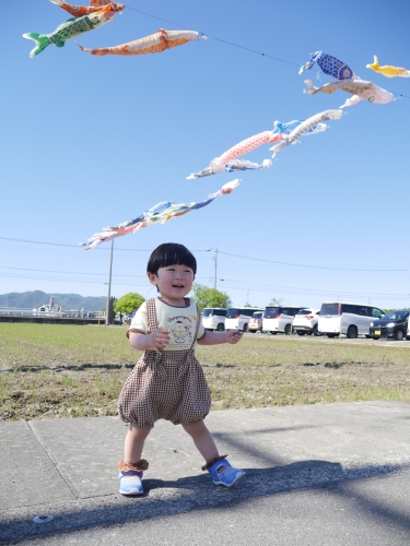 鯉のぼり | 瀬戸内市　おくのりゅうちゃんさん