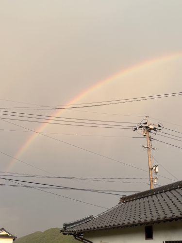 虹