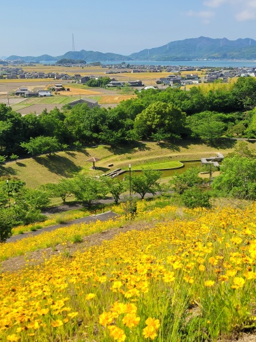 気持ちいい | 岡山市　まっちゃんさん