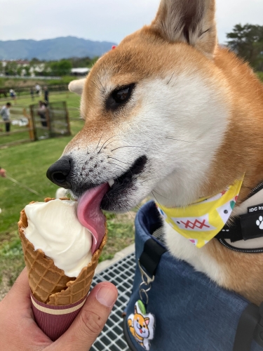 一口ちょうだい | 岡山市　海くん