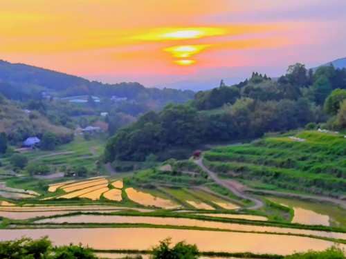 夕焼けの棚田 | 真庭市　小割さん