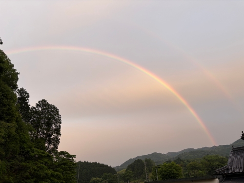 虹 | 津山市　にったんさん