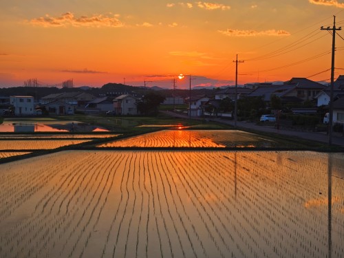 夕焼け色に染まり | 津山市　寺坂さん