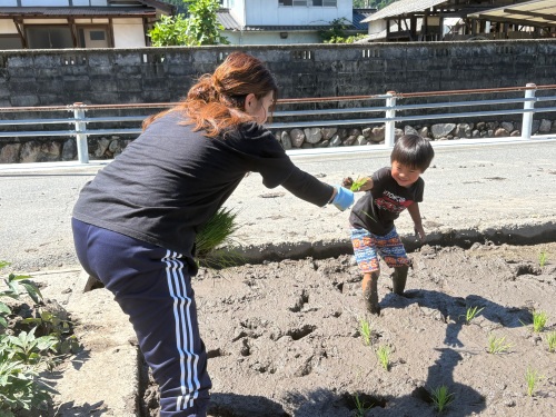 ママと田植えしたよ〜 | 高梁市　別所さん