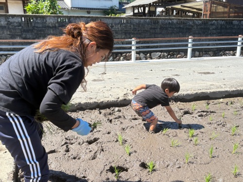 ママと田植えしたよ〜 | 高梁市　別所さん