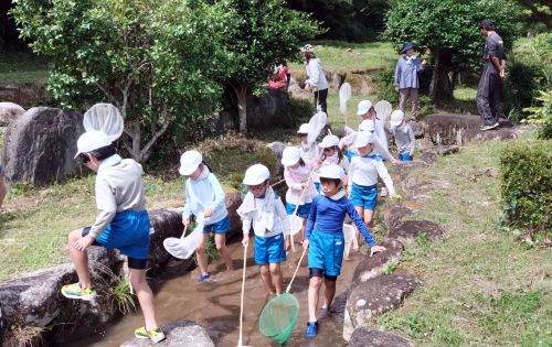 川の生き物探し | 久米南町　磯山さん