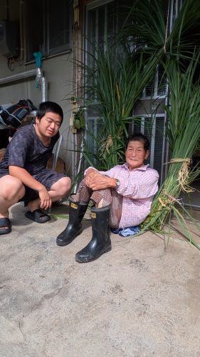 手作りの茅の輪 | 新見市　りんごほっべ真っ赤さん