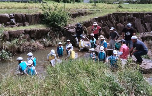 川の生き物探し | 久米南町　磯山さん