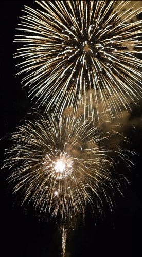夜空に大輪の花 | 備前市　土橋さん