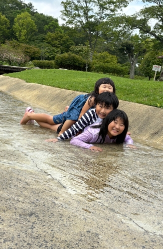 亀の姉弟たち | 津山市　にったんさん