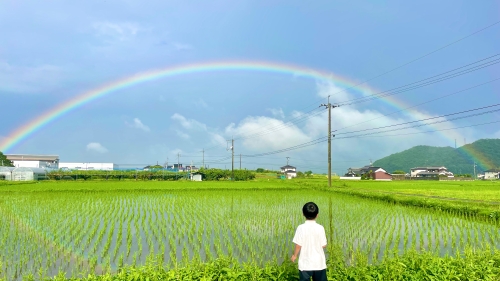 梅雨明け | 総社市　片岡さん