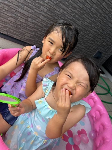 トマトすくい | 岡山市　ゆのゆのーずさん