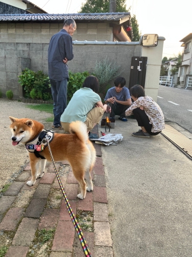ぼくのおうちはここだよ | 岡山市　海くんさん