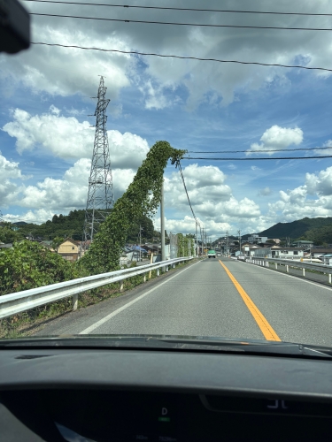 ゴジラ？恐竜？ | 津山市　にったんさん