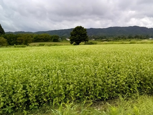 蒜山の秋 | 奈義町　神野さん