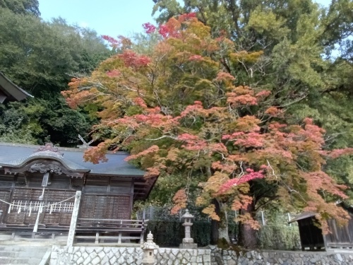 紅葉始まる | 奈義町　神野さん