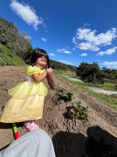 プリンセスのお芋掘り | 勝央町　よっちゃんさん