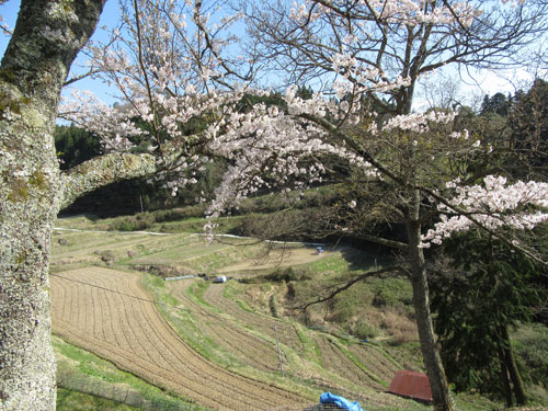 みずため | 岡山市　沖永さん