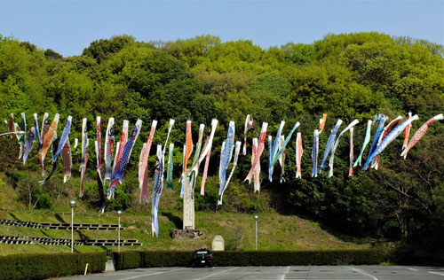 今年も泳いでますよ！ | 岡山市　宮脇さん