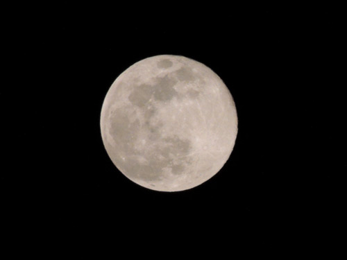 しばし忘れて… | 高松市　泉本さん